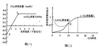在一定實驗條件下.測得某綠色植物的光合作用和細胞呼吸分別如圖所示.用32p標記的礦質營養(yǎng)液培養(yǎng)某植物幼苗一段時間后.在根細胞中檢測和推斷32p的累積量.吸收量和運輸量如圖