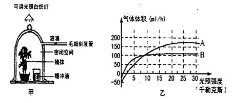 下圖為在一定條件下研究光照強度對植物光合作用的影響的變化曲線,回答下列問題 青夏教育精英家教網
