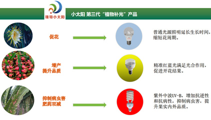 聚焦反季高效栽培，科技賦能海南火龍果產業——2020海南火龍果反季節種植管理研討會圓滿舉行