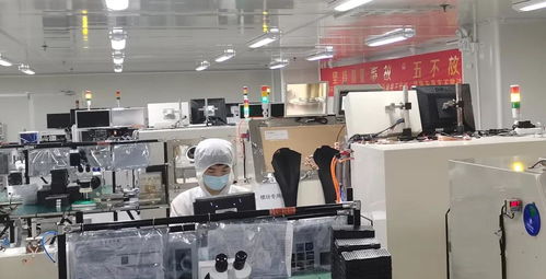 攜手并進，共譜華章——瑞谷光網與華為合作的質量績效與體系建設雙豐收