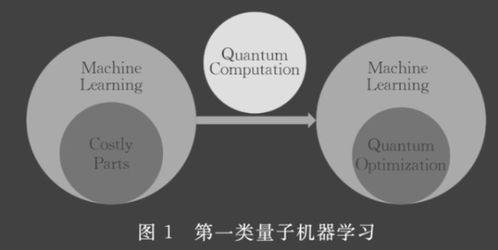 量子機器學(xué)習(xí) 從理論框架到技術(shù)服務(wù)的實現(xiàn)路徑